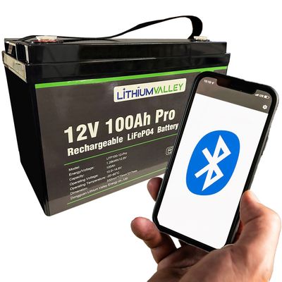 Lithium Valley 12.8V 100AH LiFePO4 Battery