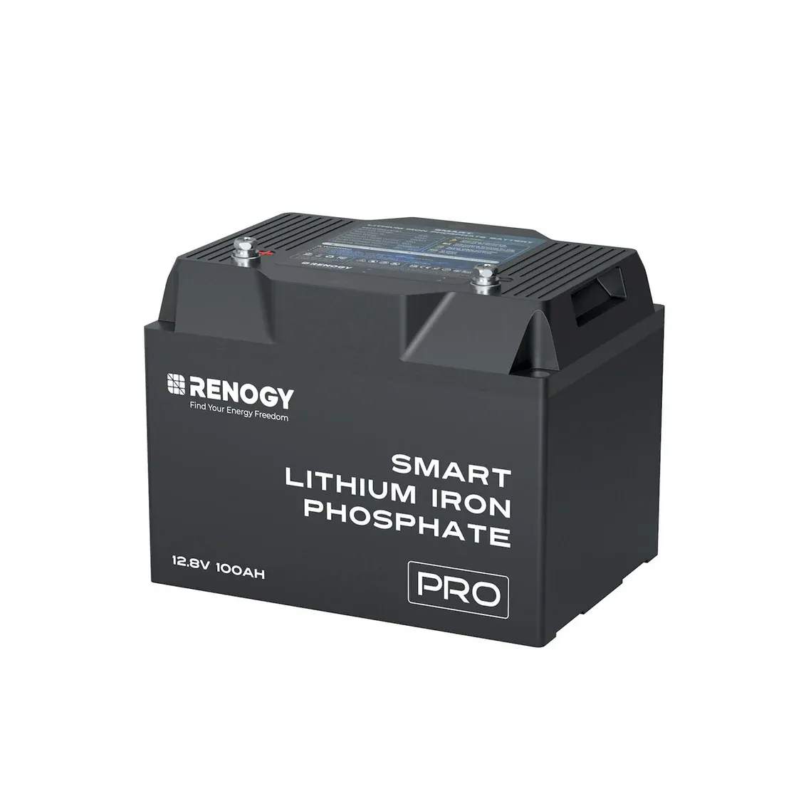 Renogy 12V 100Ah Pro Smart Lithium Iron Phosphate Battery with Bluetooth &amp; Self-Heating