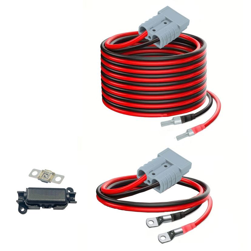 Cable Loom for Victron IP22 Charger - Combo 2