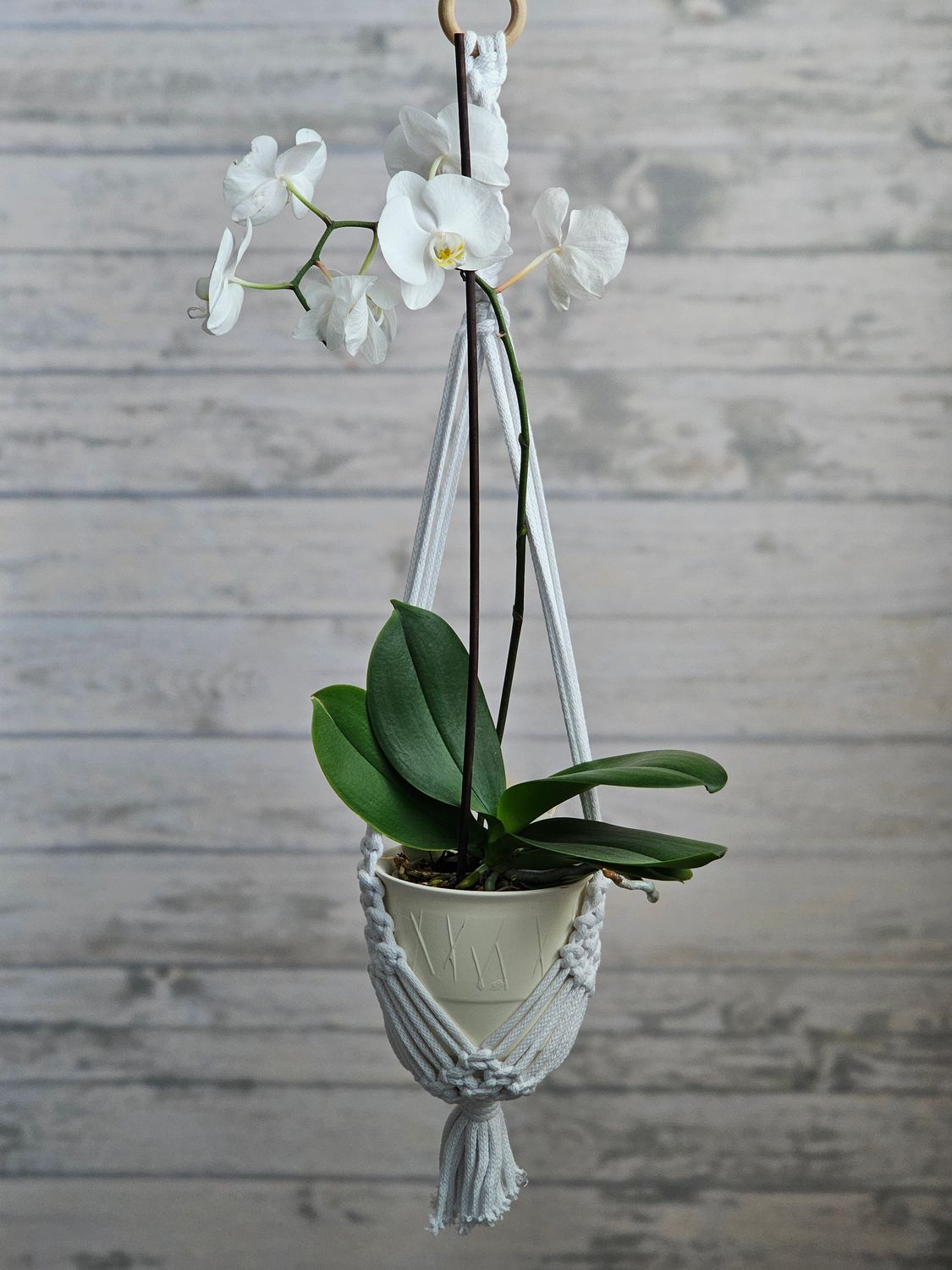 Makramé virágtartó - White orchid