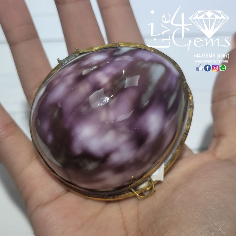 Genuine Seashell Box Small