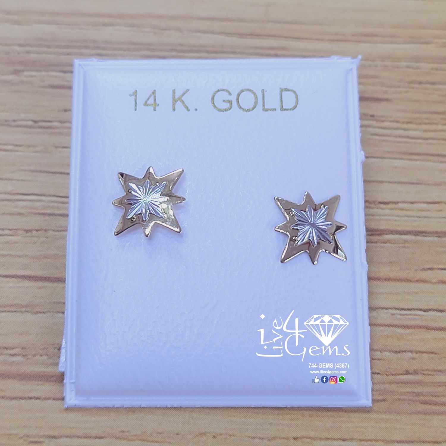 14kt Two Tone Star Screwback