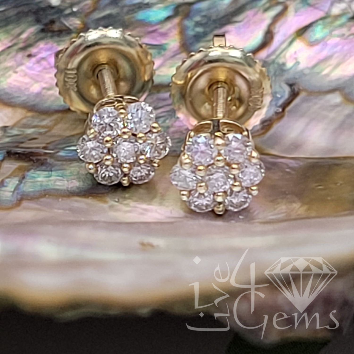 10kty 1/3 Dia Flower Cluster Stud Earring