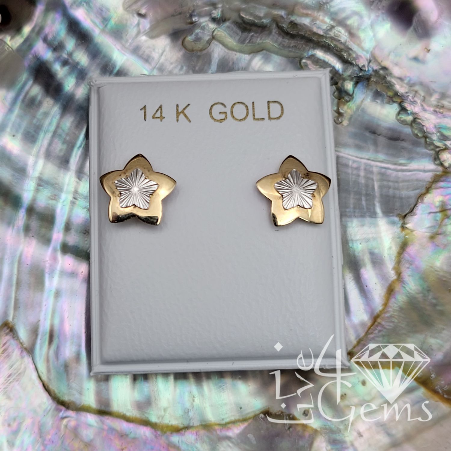 14kt Two Tone Five Point Star Screwback Stud