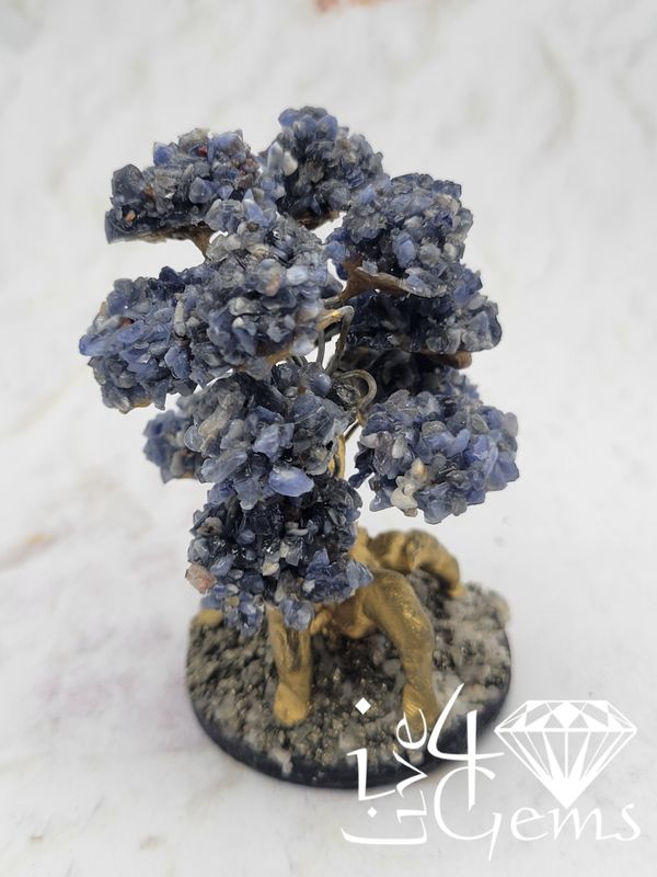 Gemstone Bonsai Tree  Sodalite Small
