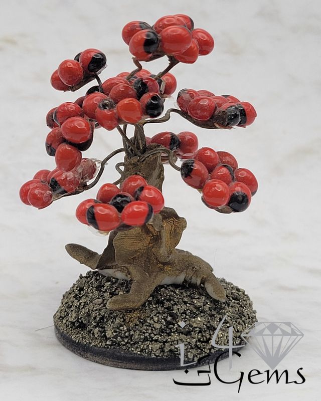 Gemstone Bonsai Tree Peruvian Huayruro Seeds Small