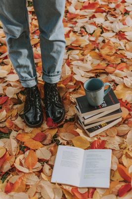 COLLECTION AUTOMNE