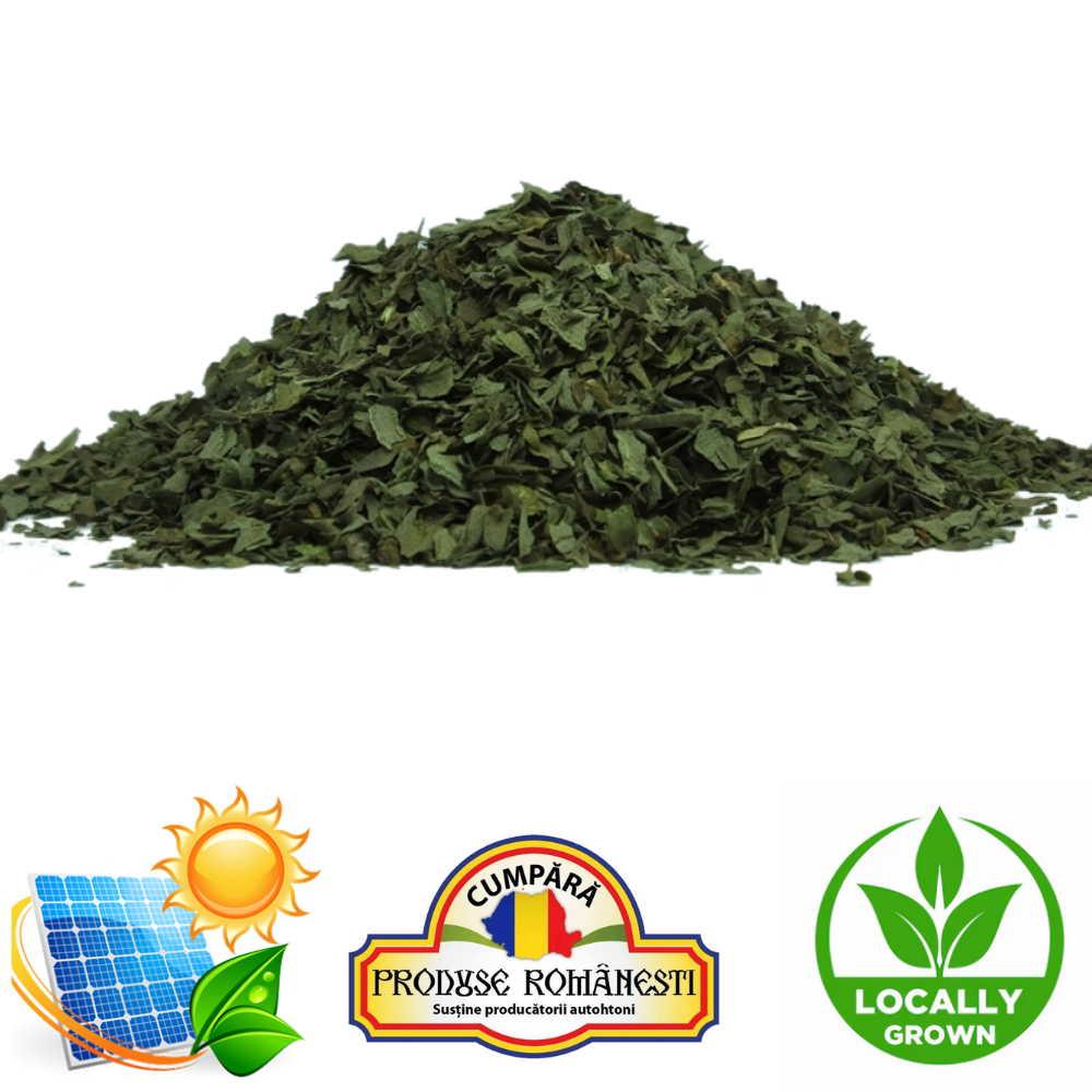 Menta Uscată 1Kg