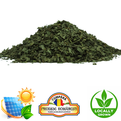Menta Uscată 1Kg