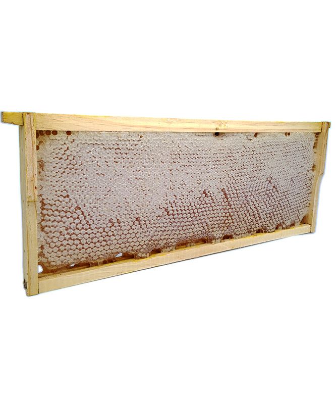 Fagure cu Miere 2 KG (ramǎ Intreagǎ)