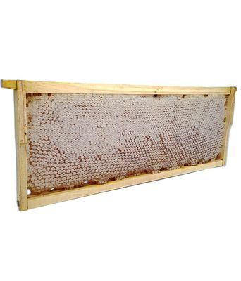 Fagure cu Miere 2 KG (ramǎ Intreagǎ)