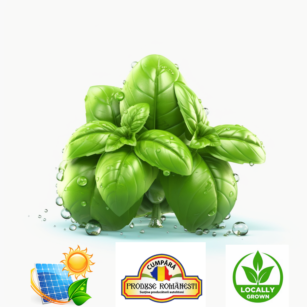 Busuioc Proaspăt 1Kg