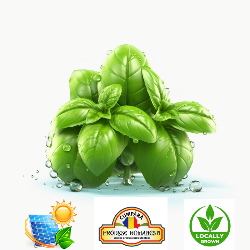 Busuioc Proaspăt 1Kg