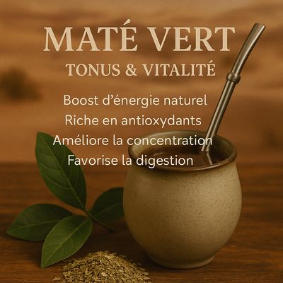 Maté vert : l’infusion naturelle pour faire le plein d’énergie