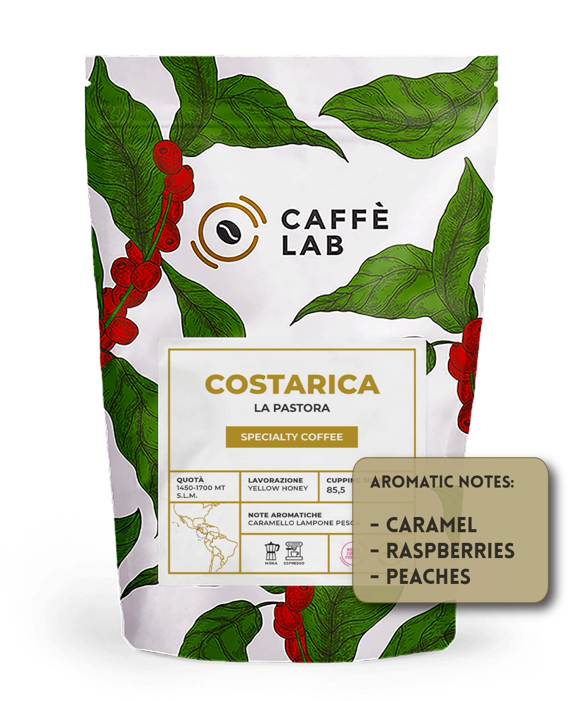 COSTARICA – La Pastora