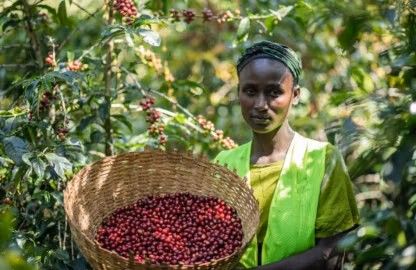 ETIOPIA Habesha