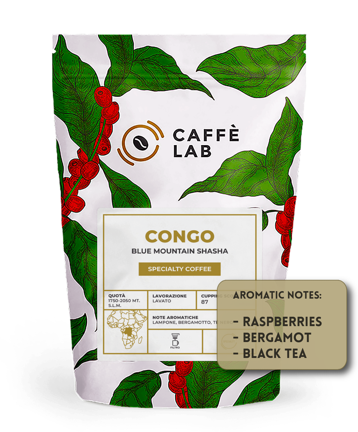 CONGO Blue Mountain Shasha