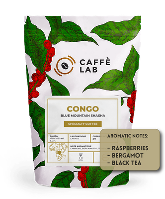 CONGO Blue Mountain Shasha