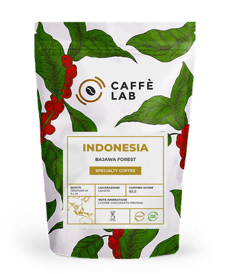 INDONESIA Bajawa Forest