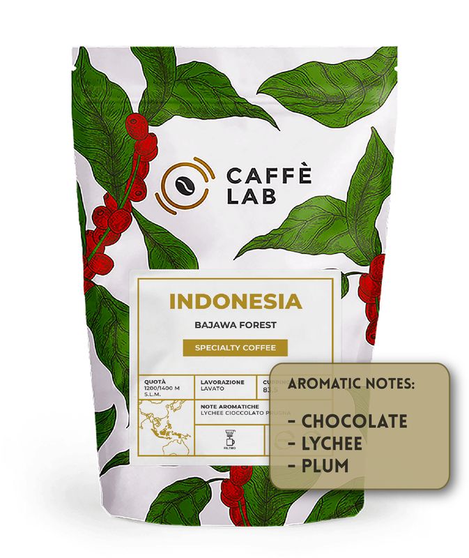 INDONESIA Bajawa Forest