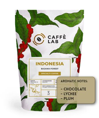 INDONESIA Bajawa Forest