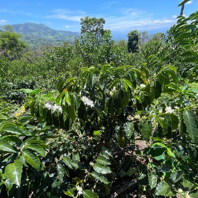 PERÙ San Ignacio