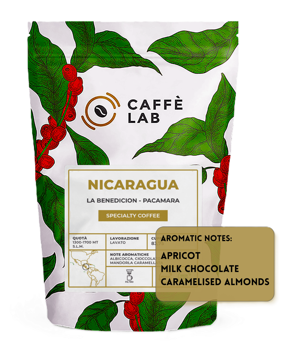 NICARAGUA  Finca la Benedition