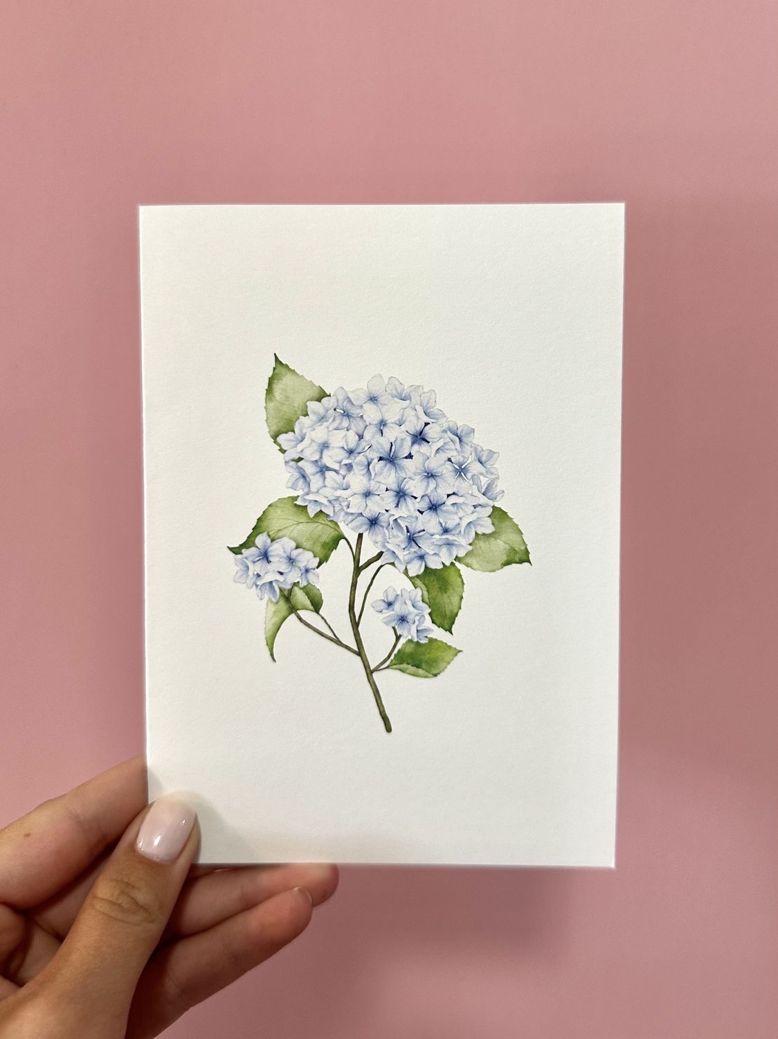 Hydrangea Greeting Card