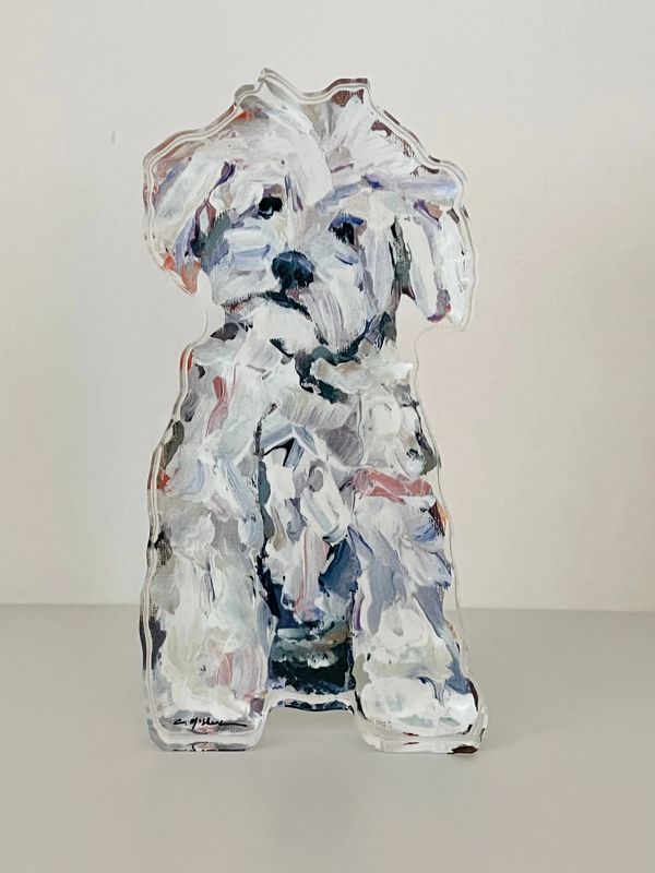White Maltipoo Acrylic Block
