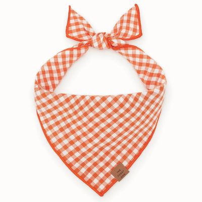Cider Gingham Dog Bandana