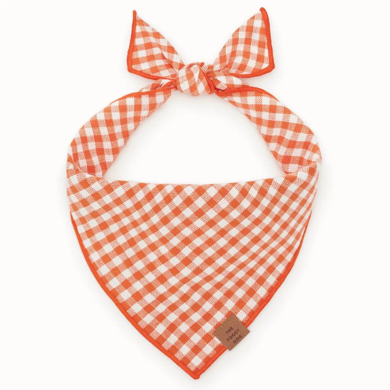 Cider Gingham Dog Bandana