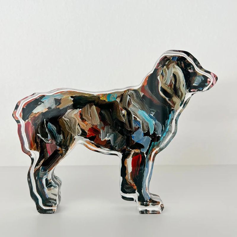 Boykin Acrylic Shelfie