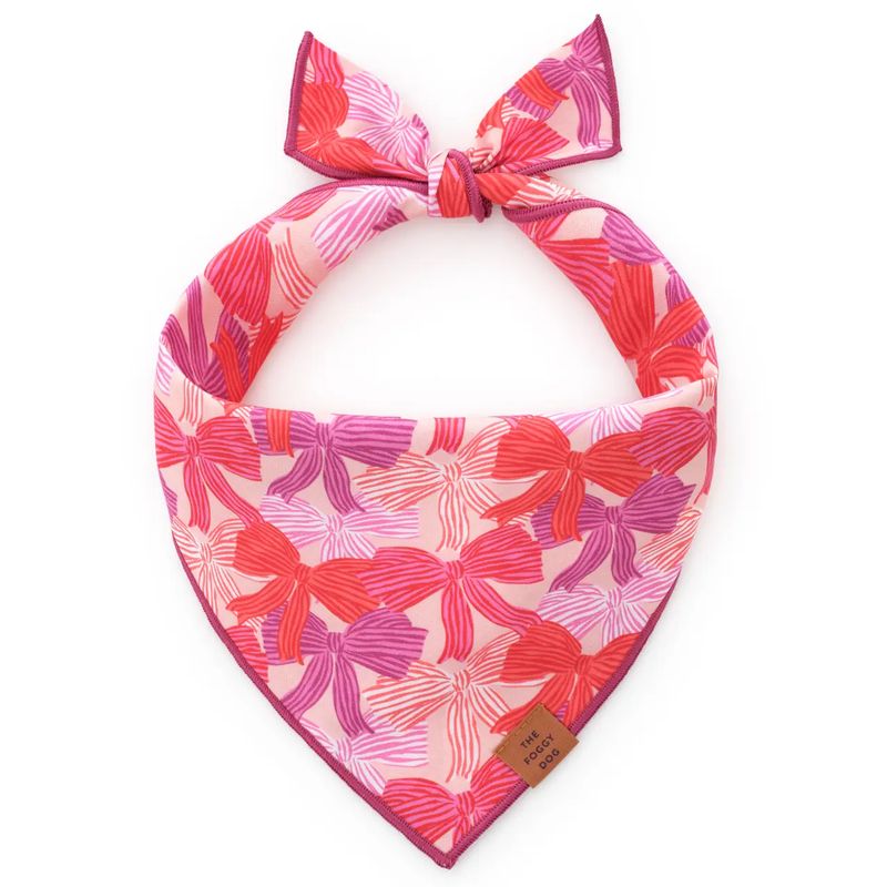 Take A Bow Dog Bandana