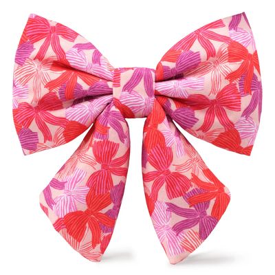 Take A Bow Lady Dog Bow