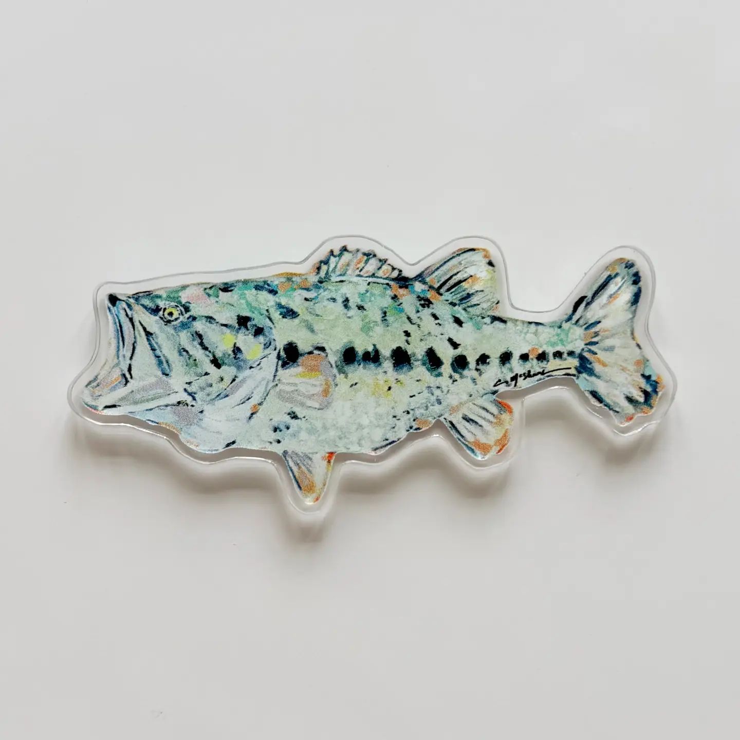 Bass Acrylic Magnet
