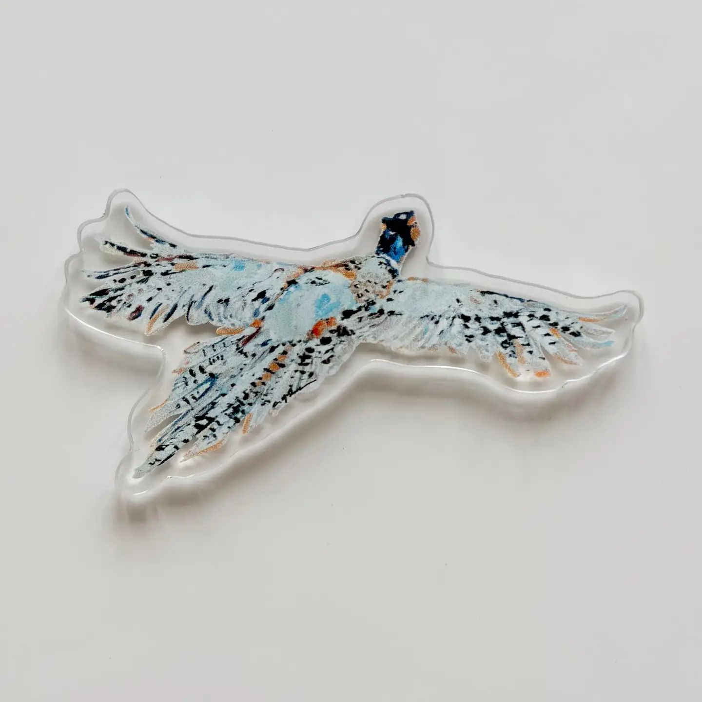Pheasant Acrylic Magnet