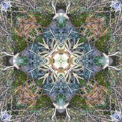 ART DIGITAL