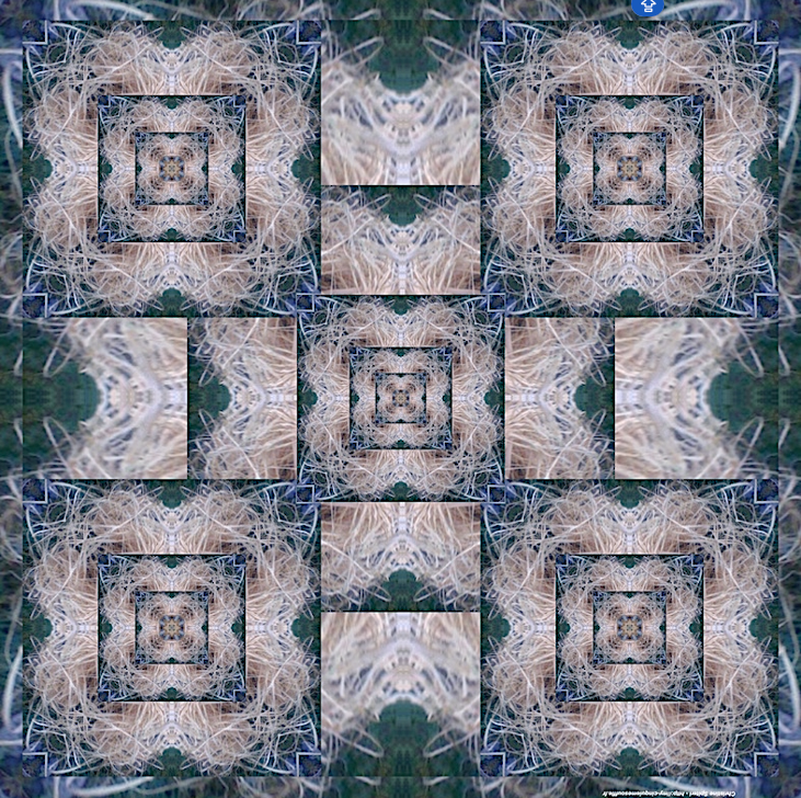 Esprit de chrysalide 50 x 50 plexiglass