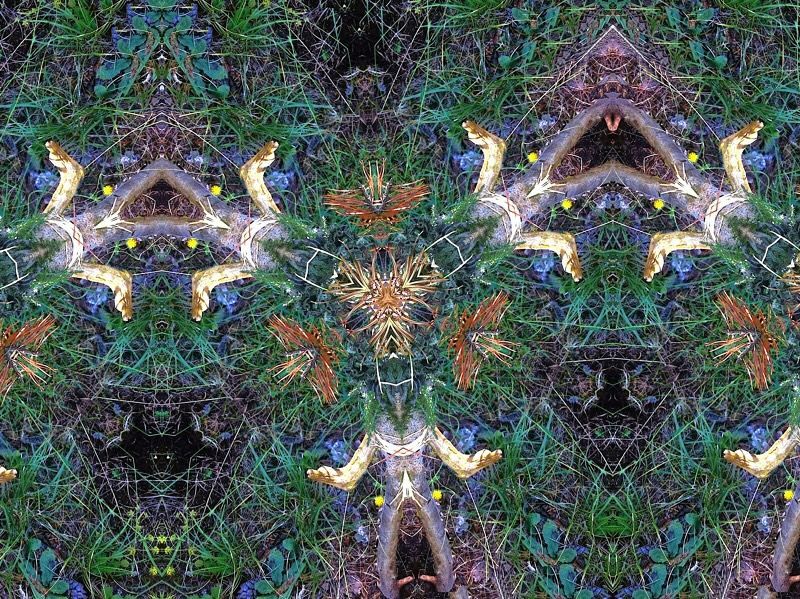 La tribu dans la forêt 60 X 80 toile La tribu dans la forêt 60 X 80 toile