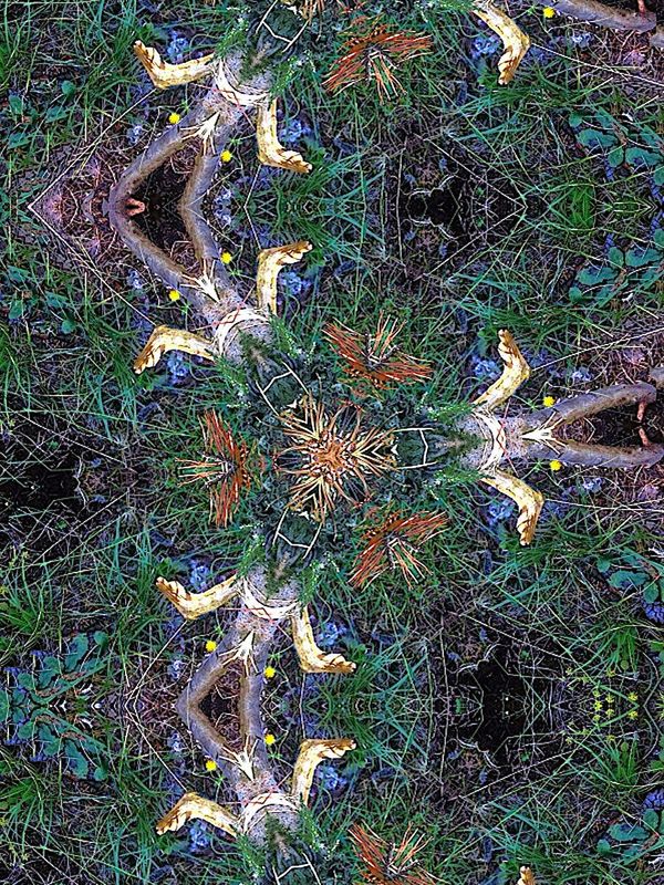 La tribu dans la forêt 15 X 20 plexi glass La tribu dans la forêt 15 X 20 plexi glass