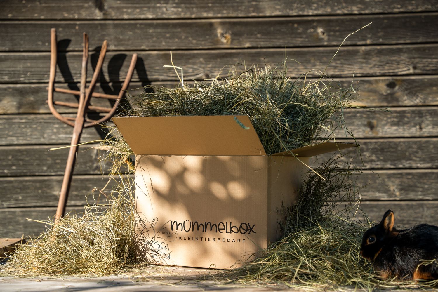 Bio Heu 2kg  | ABO 1x im Monat