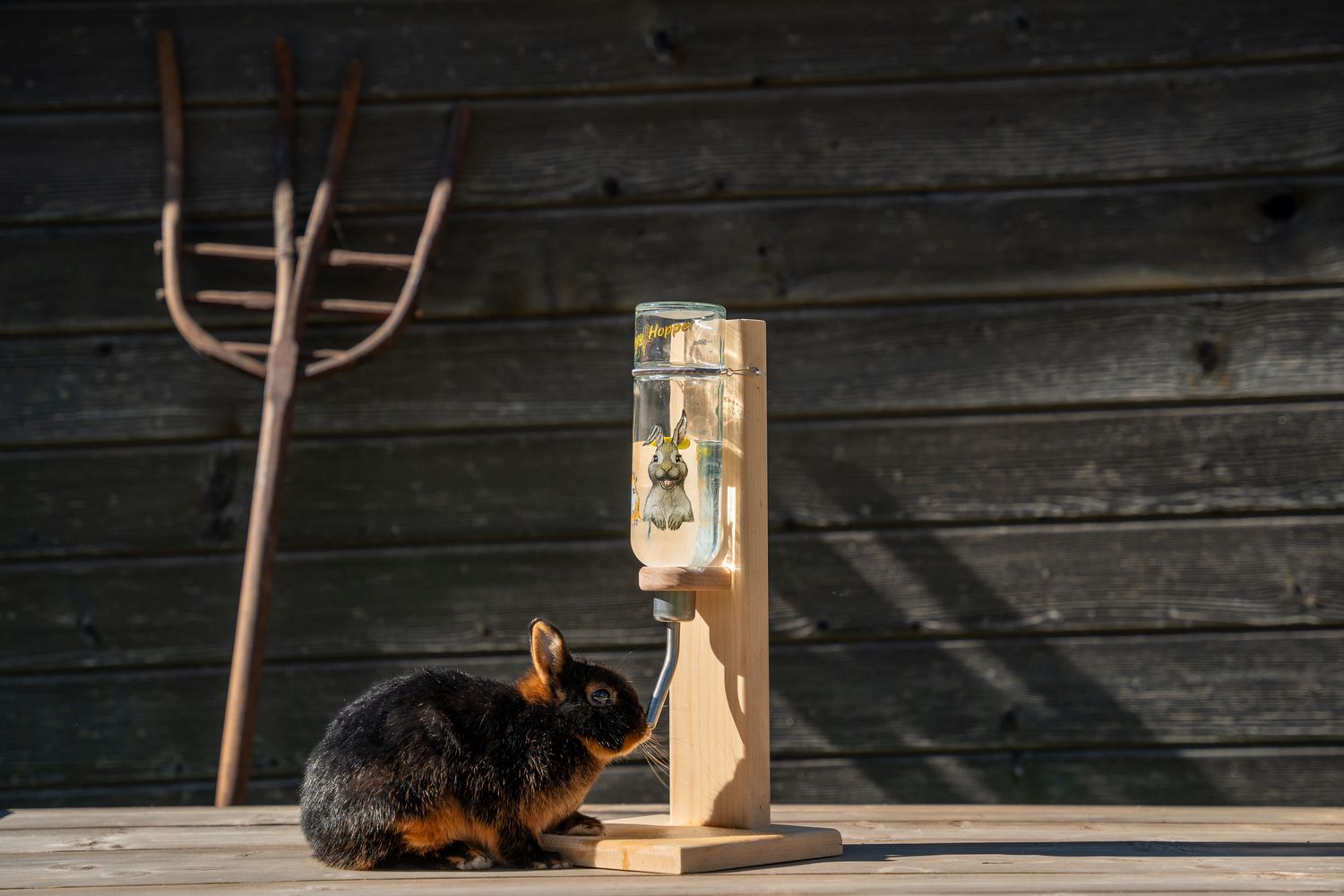 Hasentränke mit Glasflasche