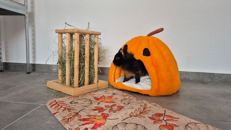 Herbst Teppich 50cm x 80cm Herbst Teppich 50cm x 80cm