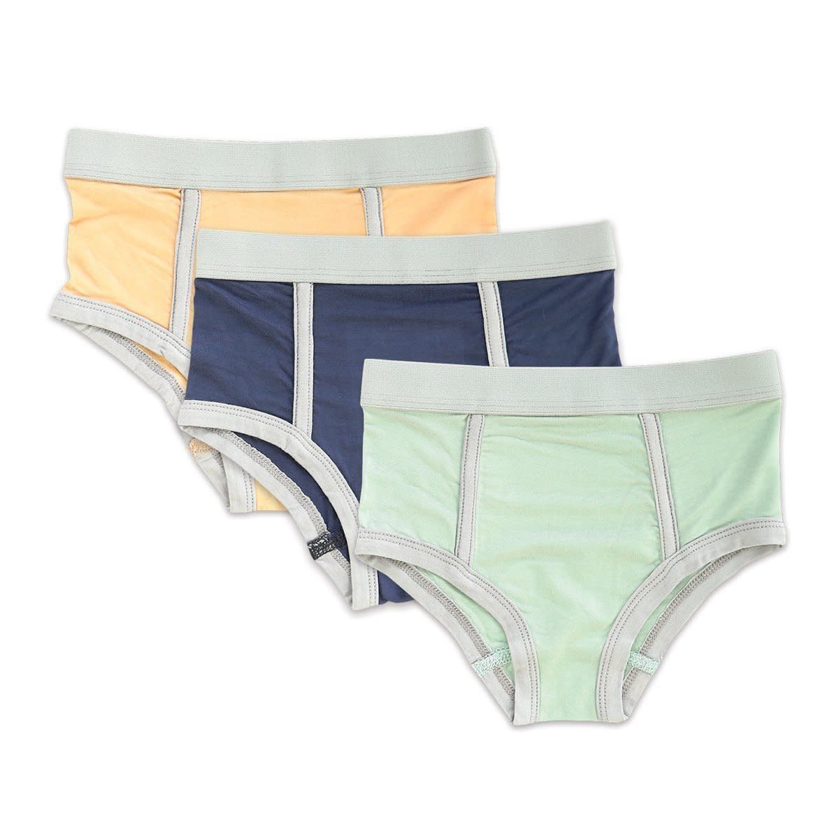 Silkberry Baby Bamboo Boys Briefs 3pk, Color: Poseidon, Size: 2T