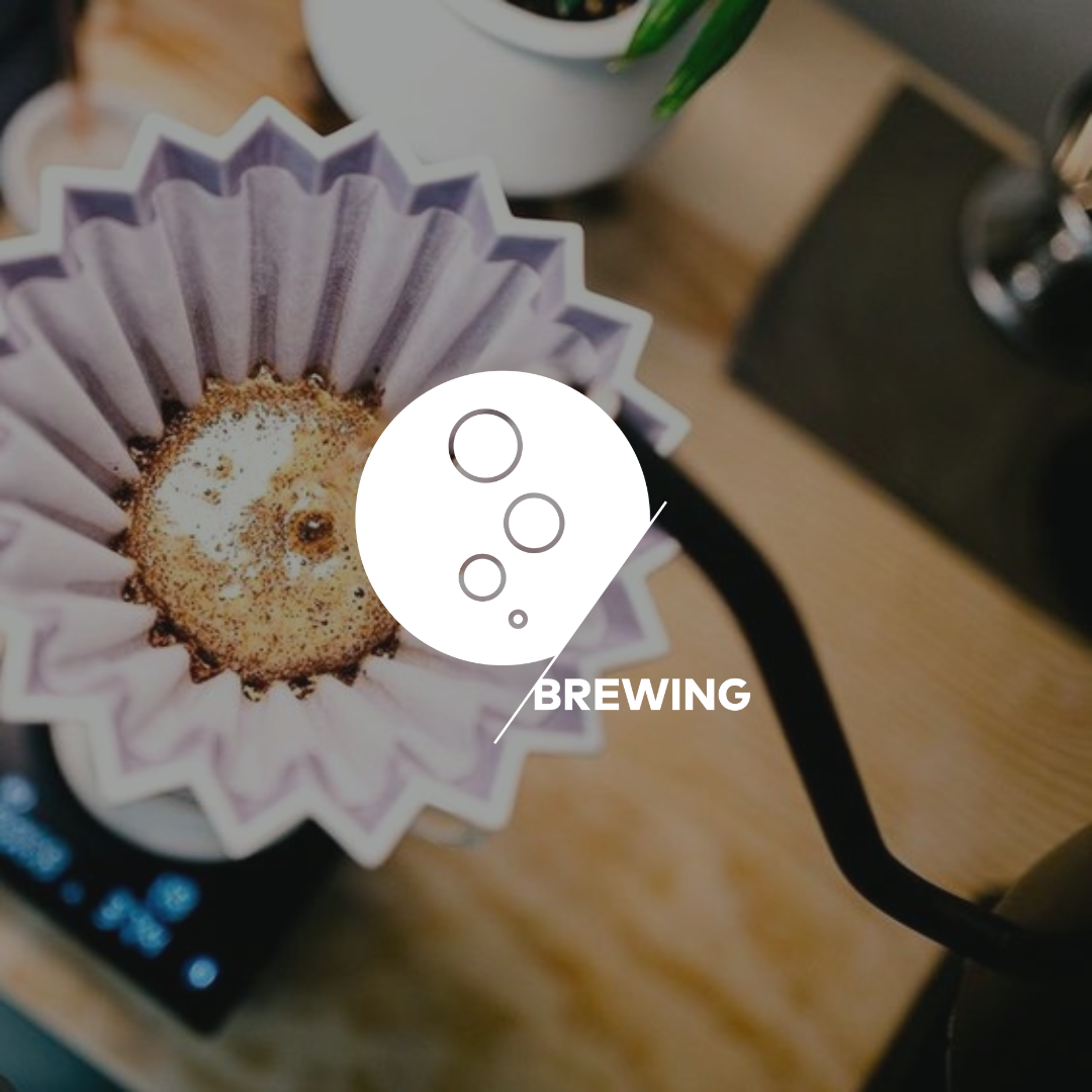 Brewing Fundamentos