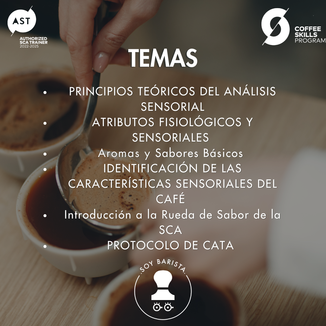 Sensory Skills Fundamentos