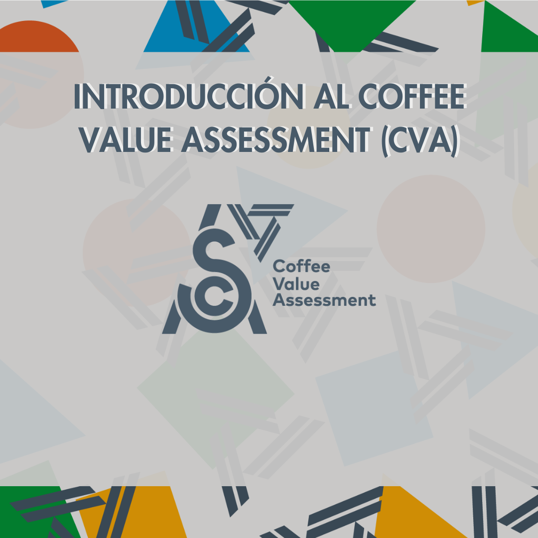 Introducción al CVA