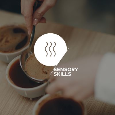 Sensory Skills Fundamentos