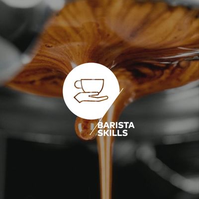 Barista Skills Fundamentos