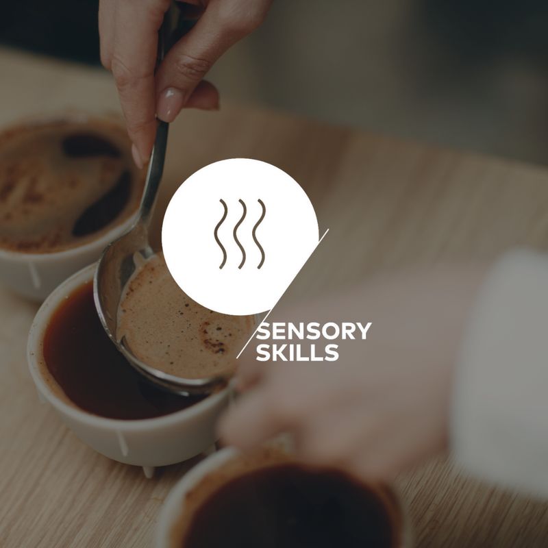 Sensory Skills Fundamentos